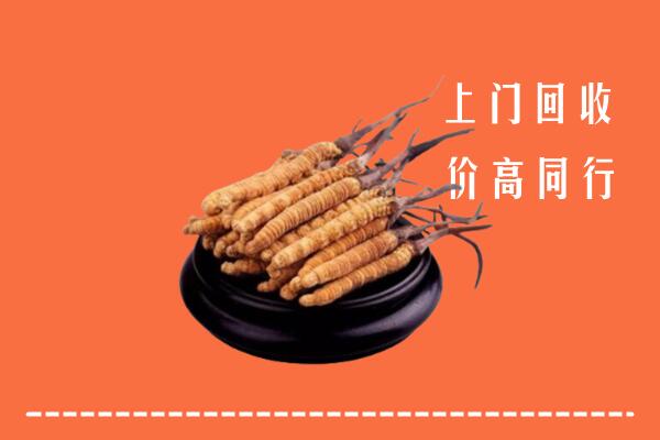 高价求购：昌吉回收散虫草