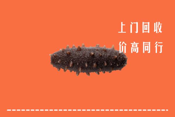 高价求购：昌吉回收海参