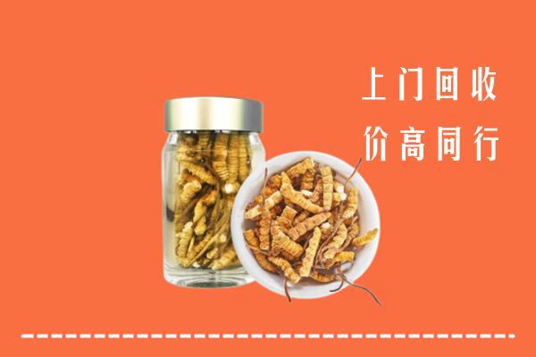 昌吉回收冬虫夏草
